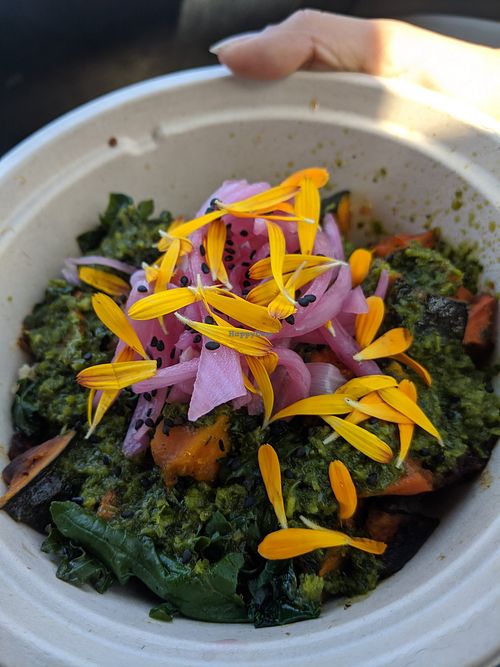 Quinoa Bowl. Had chickpeas, kabocha squash, chimichurri sauce etc. Healthy and good! at Harvest Cafe in Ventura