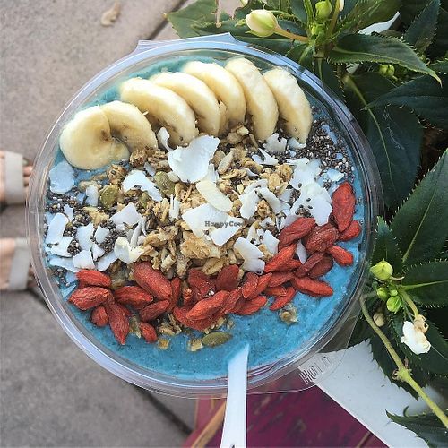 Blue Majik  at The Weekly Juicery - Palomar Centre in Lexington