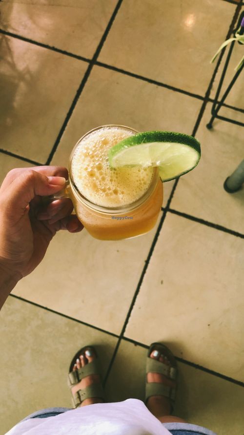   at Comunidad Vegana de Costa Rica in San Jose