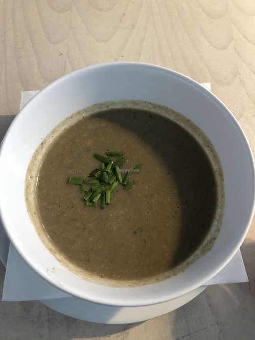 mushroom cream soup at Die Küche in Brno