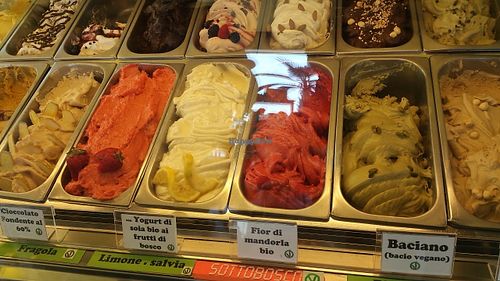 Vegan ice cream  at Pasticceria Da Angelo in Selvazzano Dentro