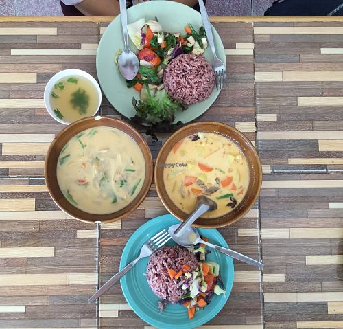 Tom yum and massaman curry at Bee Vegan in Chiang Mai