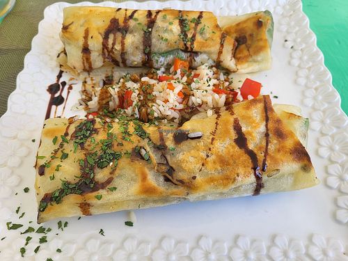  at Le Corail Vegan Food in Essaouira