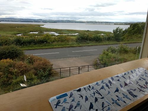 nice view at RSPB Loch Leven Cafe in Kinross