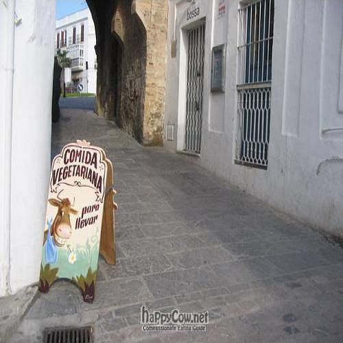 a happy cow!! at Chilimosa in Tarifa