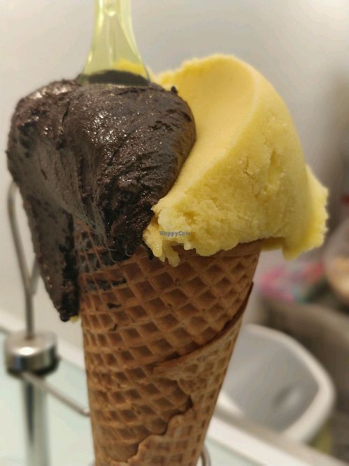 chocolate and mango flavour. these 2 are vegan. all are organic at VanillaBio in Como