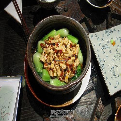 Spicy todu, pak choi and fern noodles (underneath the pak choi) at Cafe China in Yangshuo