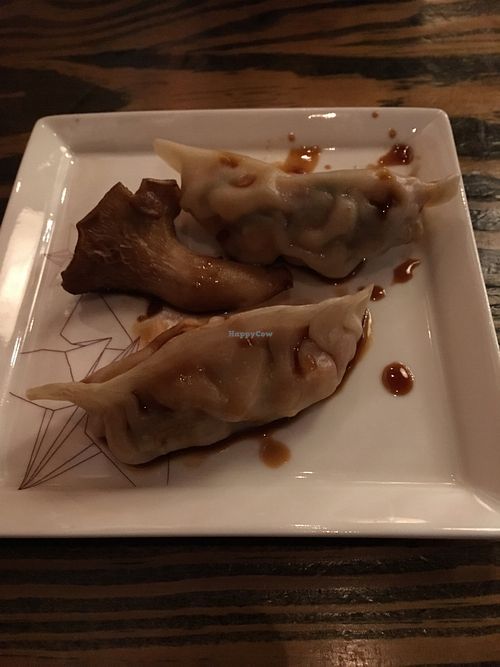 Dumplings at Kimbap Cafe in Raleigh
