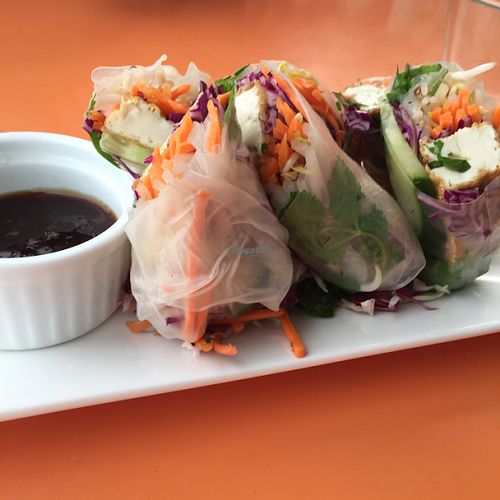 fresh spring rolls at Viki Cafe in Auckland