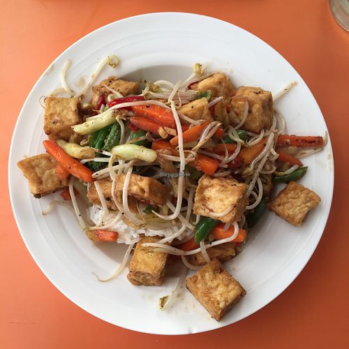 tofu and vege on rice  at Viki Cafe in Auckland