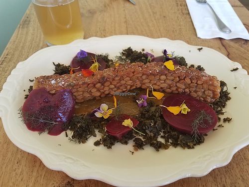 Tempeh with fermented kale, pickled beets, honey tahini sauce at Confluence Kombucha in St Louis