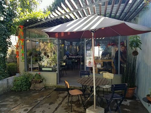 outside at Pandora Patio Cafe in Porto