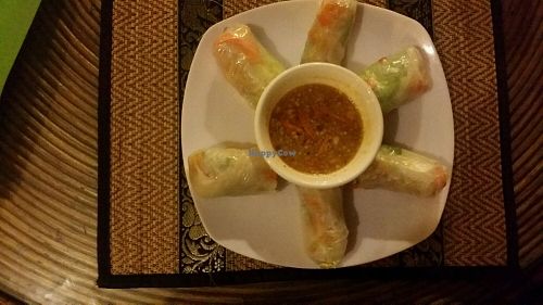 fresh vego spring rolls at Dee Cafe in Siem Reap