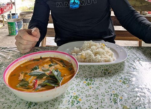 Red curry - also very good! at Vegetarian Food in Chiang Mai