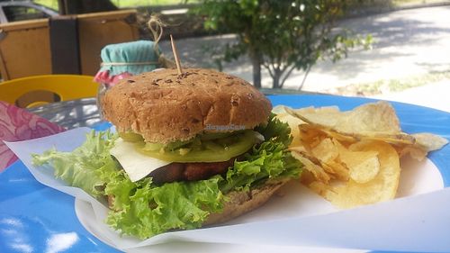 Lentil Burger + Vegan Cheese at Makadamia'm in Medellin