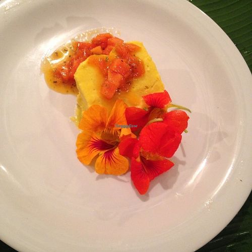 mango tumeric pie at Eva's Garden Vegetarian and Vegan Restaurant in Quepos