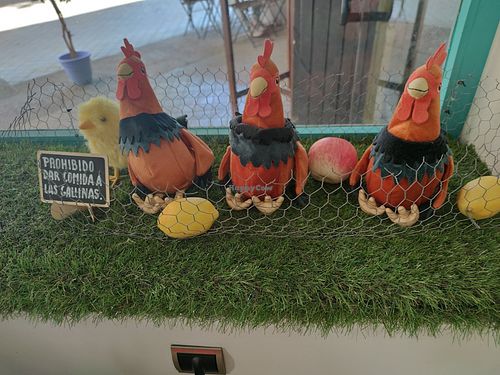 Decor at Mimimi in Granada