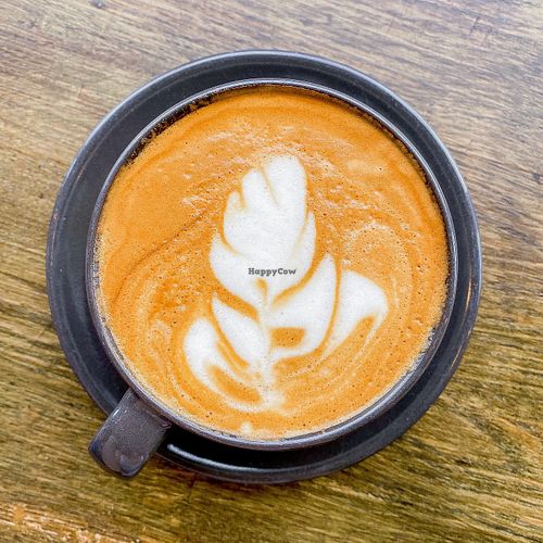 coconut flat white at The V & V Cafe in Glasgow