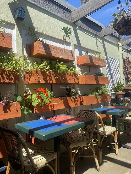 View from Seat of Garden Boxes and Greenery  at Green Door Cafe in La Jolla