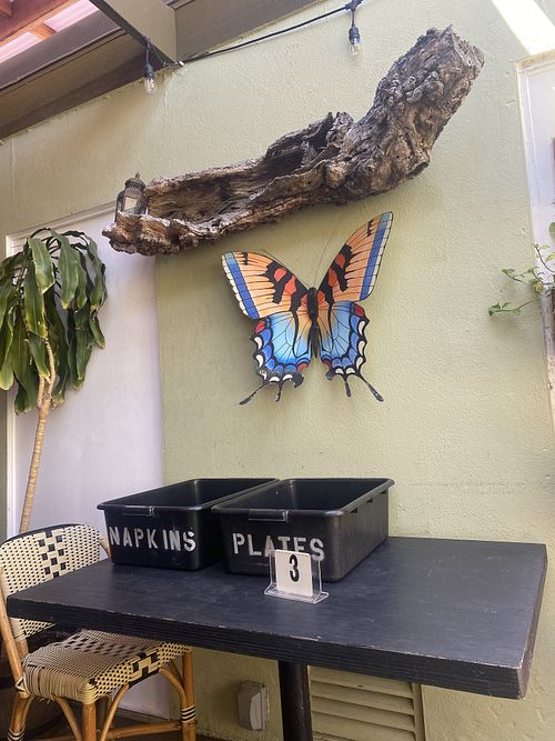 Post-Eating Place Plates, Items in Bins (FYI)  at Green Door Cafe in La Jolla