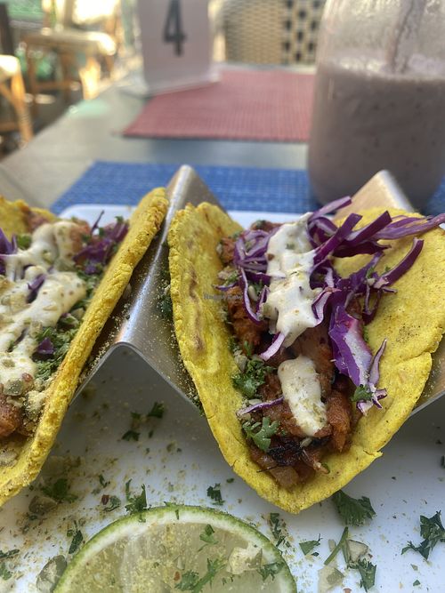 Close-Up of Jackfruit Tacos 😛💕  at Green Door Cafe in La Jolla