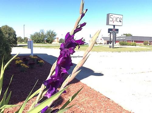 Sign at Spice Thai Restaurant  in Merrillville