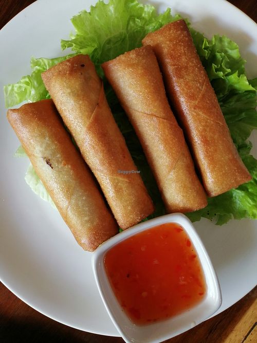 Spring rolls at Tofu Kitchen in Koh Chang