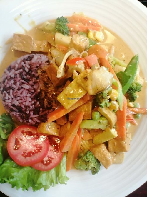 Red Curry. May 2023. at Tofu Kitchen in Koh Chang