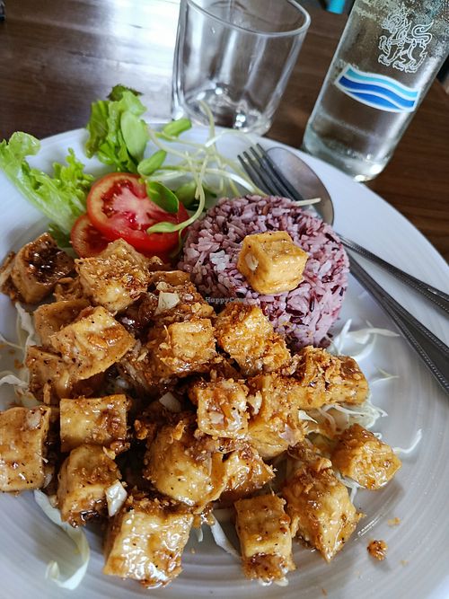 Tofu stir fried with garlic and rice. at Tofu Kitchen in Koh Chang