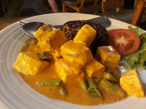Curry and rice dish at Tofu Kitchen in Koh Chang