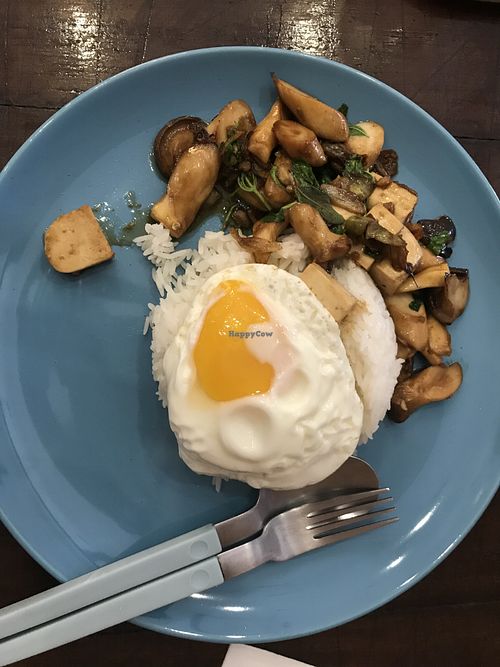 Basil mushroom rice at Banboran Cafe in Phuket