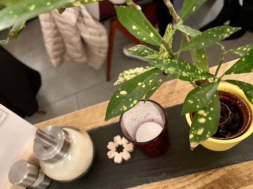 table at SIGGIS v/gan dine & co. in Munich