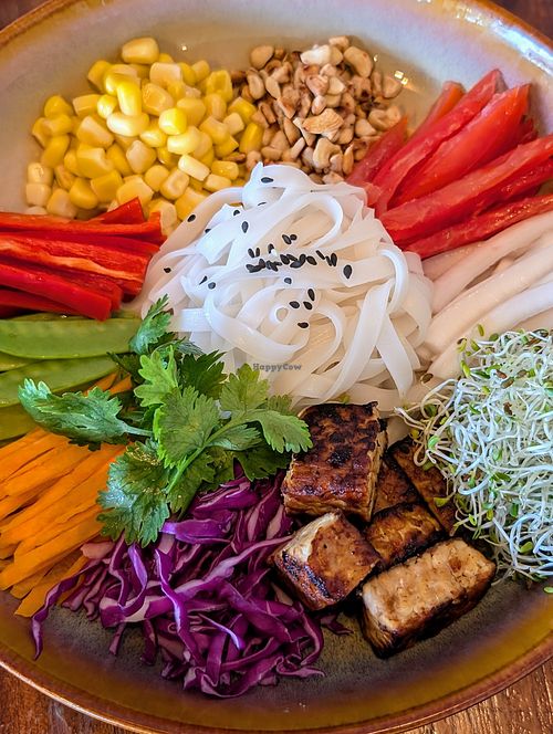 Tempeh bowl at SHAKA - Bohol in Panglao