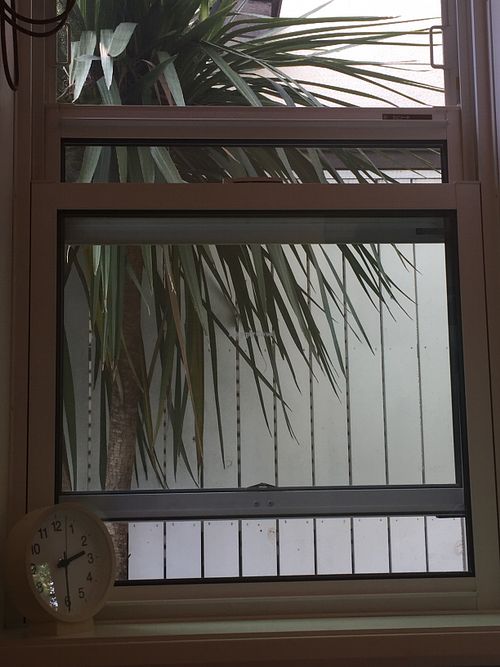 The view from the table ☺️ at Cafe 5884 in Tokyo