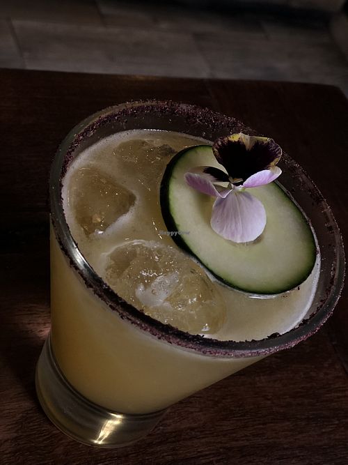 Cocktail - delicious. Not too sweet! at Don Taco Tequila in San Miguel De Allende