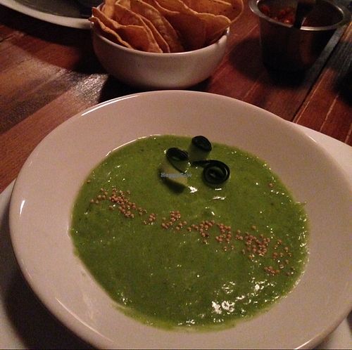 chilled avocado soup, vegan-style  at Don Taco Tequila in San Miguel De Allende