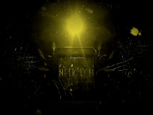 Neekich New place at Neekich The Wise Rabbit in Merida