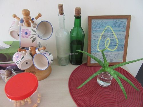 Aloe Vera is good for health. And nice too ;-) at U are Brilliant Homestay in Penang