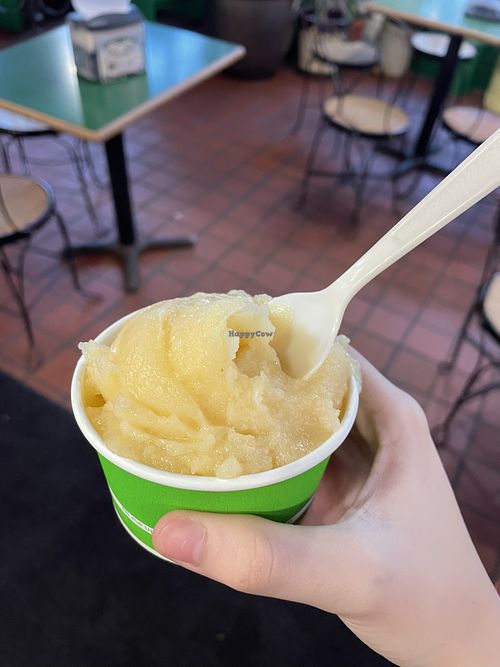 Apple Sorbet  at Ted and Wally's in Omaha