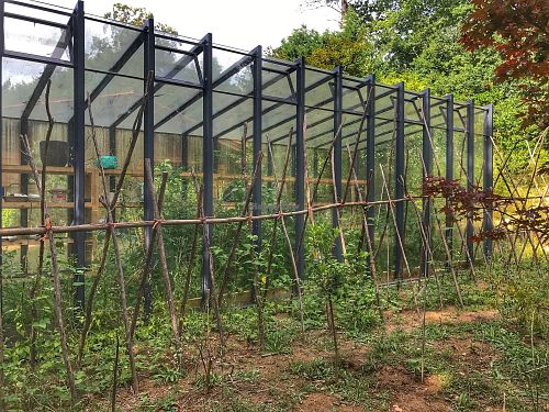 Invernadero at Quinta das Aguias in Paredes De Coura