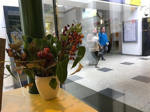 view from inside out at Mr. Clou in Gottingen