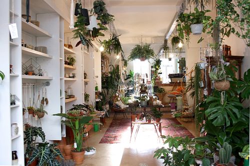 Plantcafe  at Oerwoud in Den Bosch