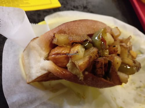 Jersey Italian Dog at Cori's DogHouse in Mt Juliet