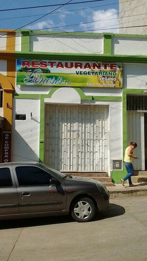 Exterior 1 at Genesis 1:29 in Socorro