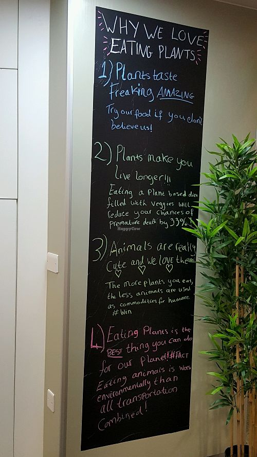 info at The Plant Academy - Pop-Up in Southport