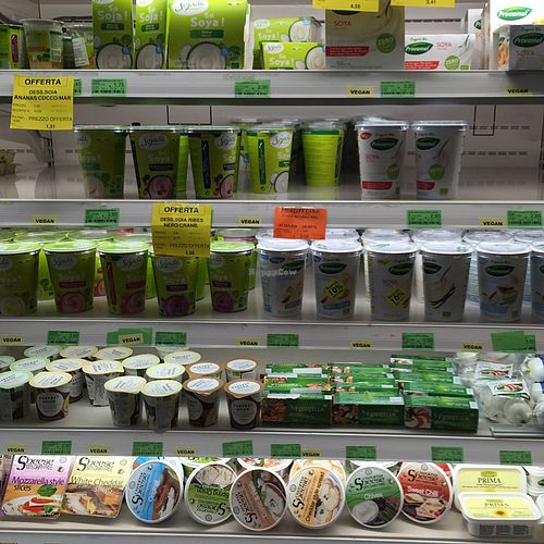 cheesecake and yogurt at Biosapori in Treviso