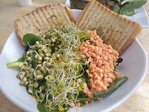 Super glow salad at Green Table Cafe in Los Angeles