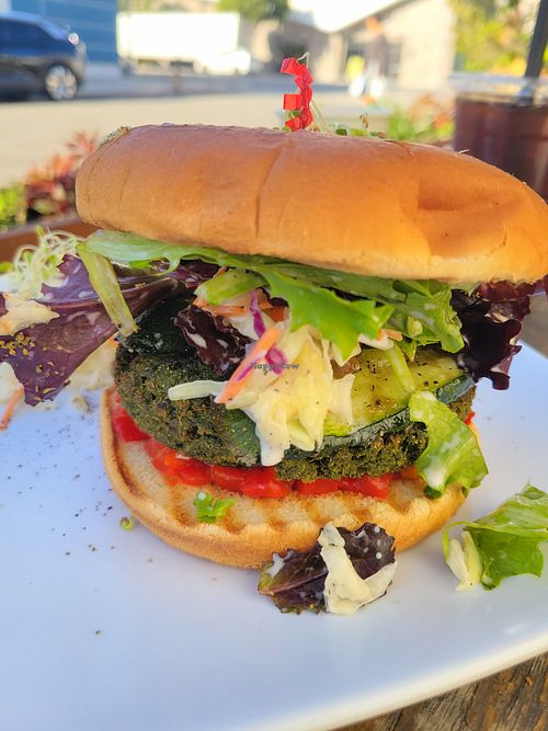 Falafel burger at Green Table Cafe in Los Angeles