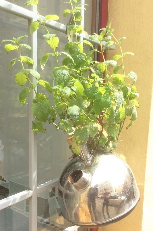 Kettles given a new life at Kuchařky bez Domova in Prague