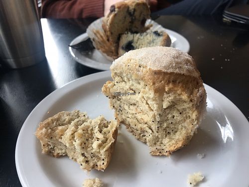 GF and vegan muffins...poppy seed and mixed berry at Hot Java Cafe in Bremerton